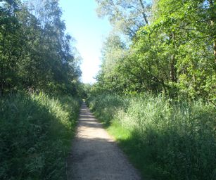 Heindonk - 13-06-2021 (8)