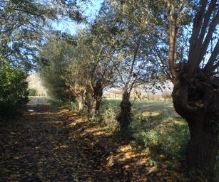 Wetteren - 31-10-2020 (11)