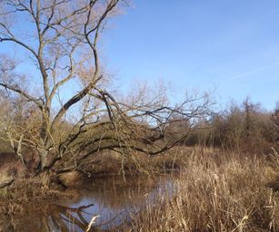 12-02-2022 - Lier (9)