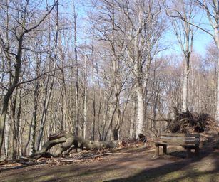 Kessel-Lo - 28-03-2021 (16)