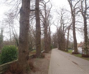 23-01-2022 - Brugge (13)