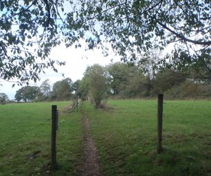 Hamoir - 11-10-2020 (10)