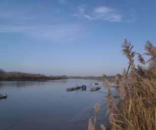 Bornem - 07-11-2020 (21)