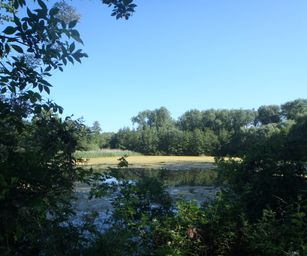 Heindonk - 13-06-2021 (5)