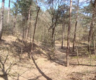 Kasterlee - 17-04-2021 (21)