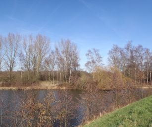 12-02-2022 - Lier (14)