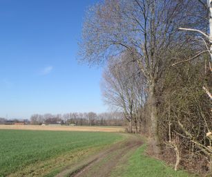 Asse - 06-03-2021 (13)