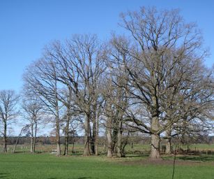26-02-2023 - Zoersel (13)