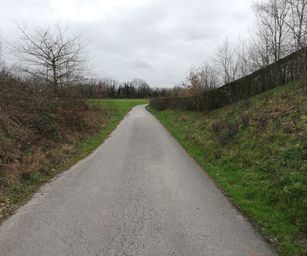 Péronnes-lez-Antoing - 01-03-2020 (12)
