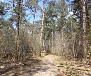 Kasterlee - 17-04-2021 (12)