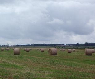 Wanze 11-09-2021 (15)