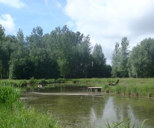 26-05-2022 Sint-truiden (4)