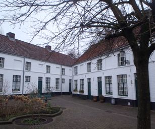 Brugge - 24-01-2021 (8)