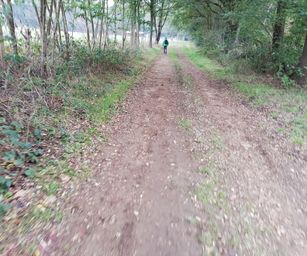 Paal - 18-10-2020 (13)