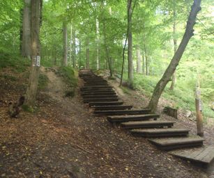 Sint-Pieters-Woluwe  - 19-09-2021 (42)