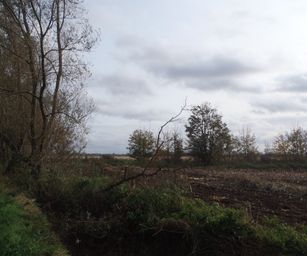 Brugge Knokke - 24-10-2020 (11)