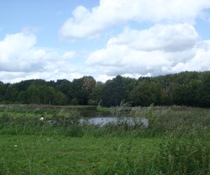 26-08-2023 - Sint-Truiden (10)
