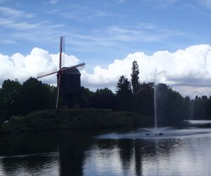 Diest  - 05-09-2020 (34)