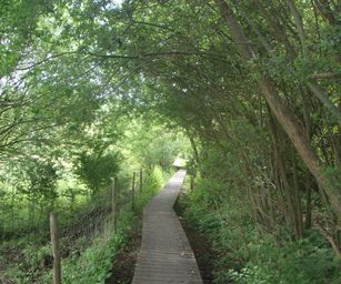 21-05-2022 Tongeren (23)