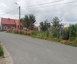 Humbeek - 12-09-2021 (5)