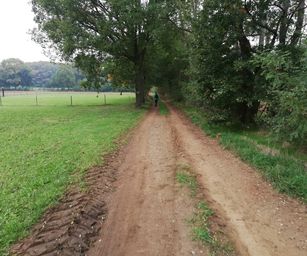 Paal - 18-10-2020 (15)