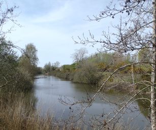 12-04-2022 - Sint-Joris (29)