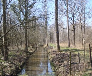 bornem - 20-03-2021 (17)