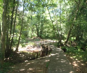 18-07-2023 - Opoeteren (11)