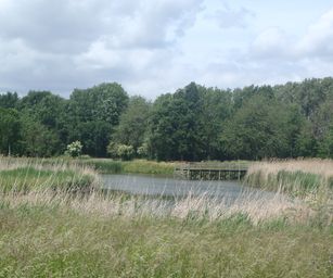 26-05-2022 Sint-truiden (20)