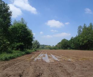 Haacht - 06-06-2021 (25)