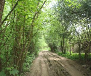 01-05-2022 - Herzele (22)