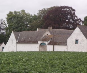 Taviers - 05-07-2020 (13)