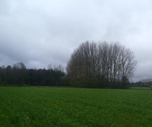 22-10-2023 - Beloeil (20)