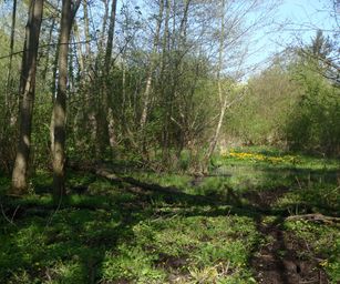 19-04-2023 - Wellen (4)