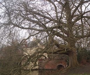 23-01-2022 - Brugge (23)