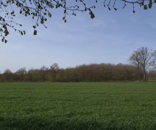 12-04-2022 - Sint-Joris (8)