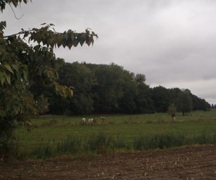 24-09-2022 Melle (9)