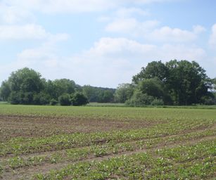 Haacht - 06-06-2021 (21)