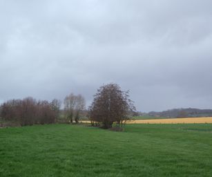 25-03-2023 - Buissenal (4)