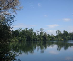 11-06-2022 Destelebrgen 2 (13)