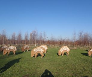 Gentbrugge - 28-11-2020 (20)