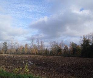 Kalken - 14-11-2020 (18)