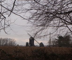 04-02-2023 - Borsbeke (25)