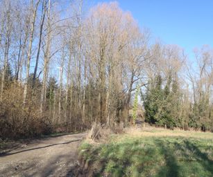 Asse - 06-03-2021 (6)