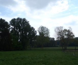 01-05-2022 - Herzele (3)