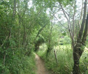 Oud Heverlee - 27-06-2021 (29)