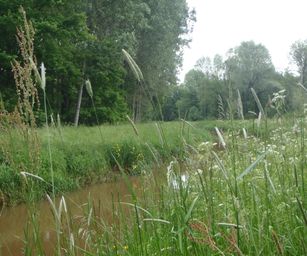 25-05-2023 - Herselt (12)
