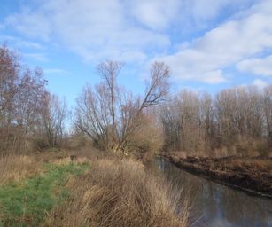 De Pinte - 09-01-2021 (18)