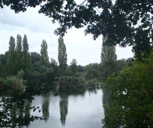 Schelle - 29-08-2021 (9)