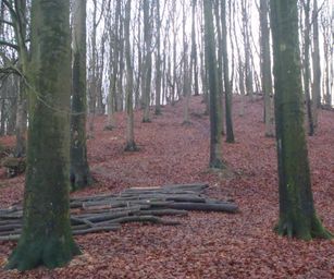 Wezemaal - 20-12-2020 (25)